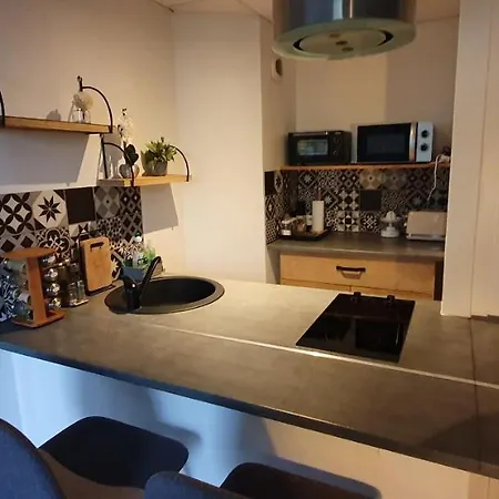 Daire Oiseau De Paradis - 7 Min Des Parcs Walt Disney- Arrivee Autonome-parking Et Wifi Gratuit- Proche Commerces Et Restaurant Ideal Pour Les Familles